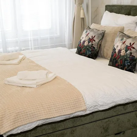Design Close To Centre Apartment Ostrava